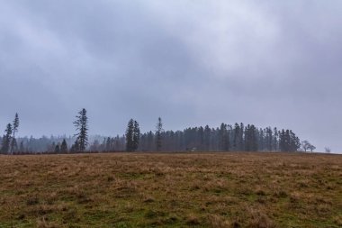 Karpat dağlarında sonbahar