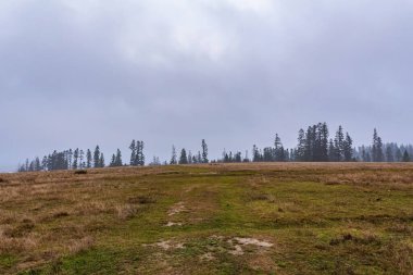 Güzel sonbahar manzarası Karpat dağlarında sisli bir sabahta