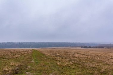 Tarlalardan geçen bir yol manzarası