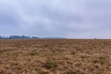 Büyük ağaçlı güzel bir tarla görüntüsü.