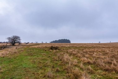 Sonbahar manzarasının güzel manzarası
