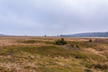 Hollanda 'da, sonbaharda bulutlu bir gökyüzü ve bulutlu bir gökyüzü olan bir tarladan manzara.