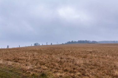 Alman Alplerinde sonbahar.