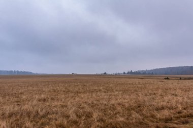 Bulutlu bir gökyüzü olan güzel bir arazi.