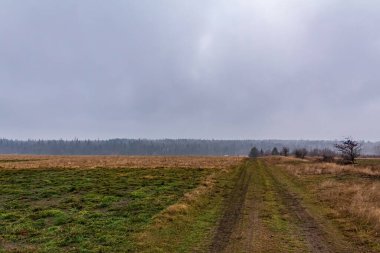 Sonbaharda güzel bir kır manzarası.