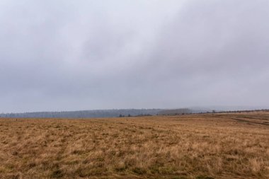 Çimen tarlası ve bulutlu gökyüzü ile sonbahar manzarası