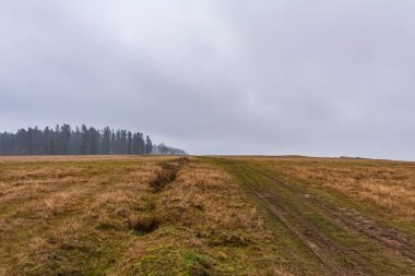Arka planda buğday tarlası olan güzel bir manzara.
