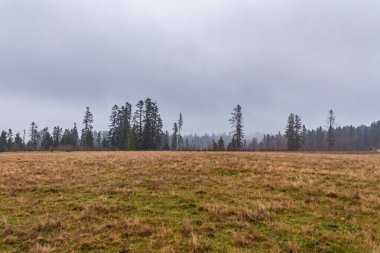 Peyzaj, Orman, Karpatlar, Doğa Fotoğrafları - Avrupa, Doğu Avrupa