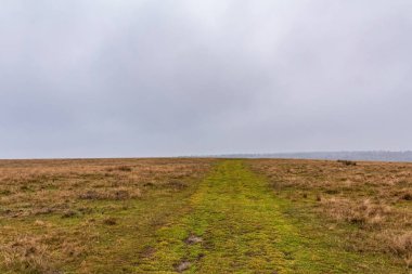 Dağlardaki bir yol manzarası
