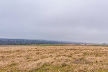 Çimen tarlası ve bulutlu gökyüzü olan güzel bir manzara.