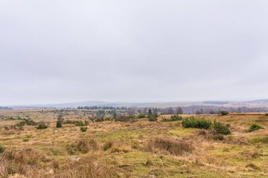Sonbaharda bir dağ manzarası, İskoçya.