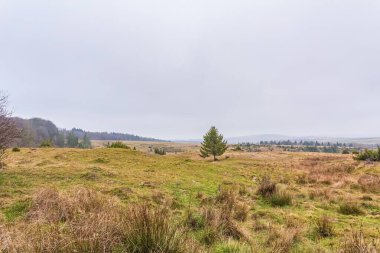 Arkasında bir dağ olan güzel bir manzara.
