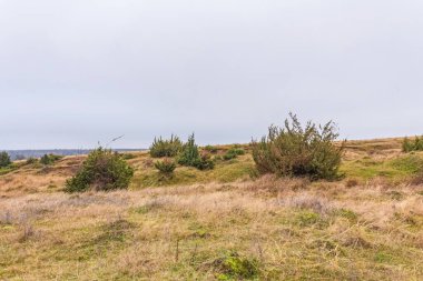 Dağlarda bir ağacı olan güzel bir manzara.