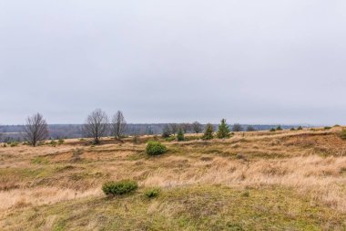Ormandaki tarlanın güzel manzarası