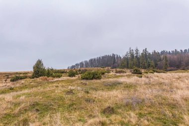 Karpatlar 'da sonbahar manzarası