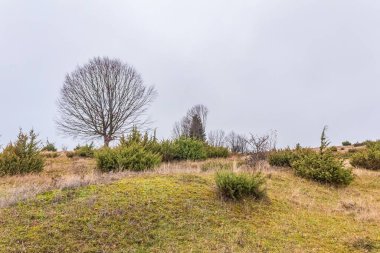 Bulutlu gökyüzü ile yeşil çimlerin manzarası