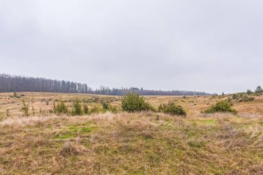 Sonbahar ağaçları ve dağlardaki çimlerin manzarası