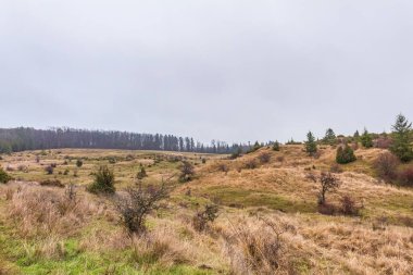 Karpatlar sonbahar manzara