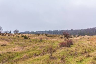 Baharda güzel bir dağ manzarası olan manzara.