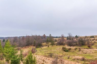 Doğanın güzel manzarası