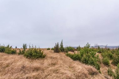 Bulutlu gökyüzü olan bir dağ manzarası