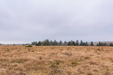 Bir tarlası olan sonbahar manzarası