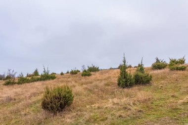 Bulgaristan 'ın Vitosha Dağı' nın sonbahar manzarası
