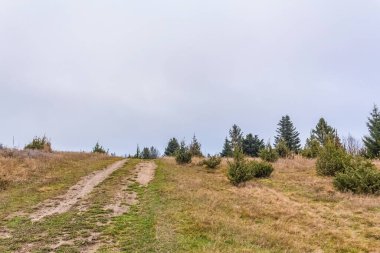 Dağlarda dağları olan güzel bir manzara.