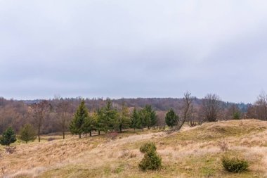 Ukraynalı Karpatların güzel manzarası