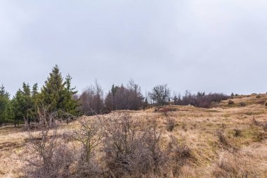 Dağlarda sonbahar manzarası