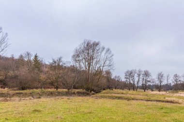 Ağaçların ve tarlanın güzel manzarası.