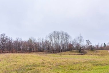 Güzel bir sonbahar manzarası.