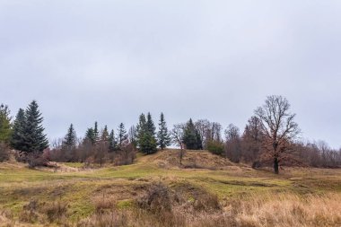 Doğanın güzel manzarası