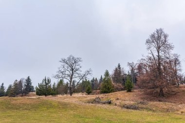 Baharda güzel bir park manzarası