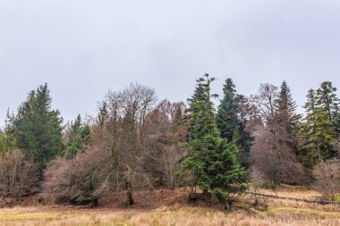 Kırsal manzarası çok güzel.