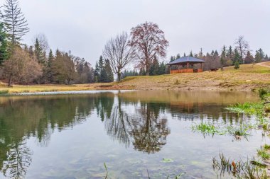 Sonbahar mevsiminde ağaçlar ve ormanlarla dolu göl
