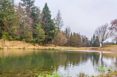 Sonbahar mevsiminde göl