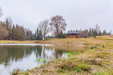 Ormanda ahşap bir ev.