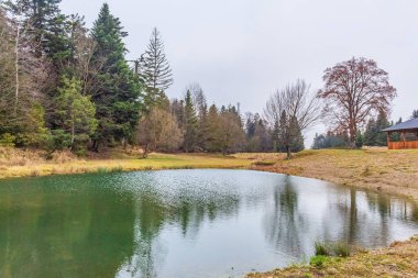 Sonbaharda ormanda bir parkta gölet
