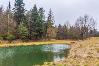 Parkta nehri olan güzel bir manzara.