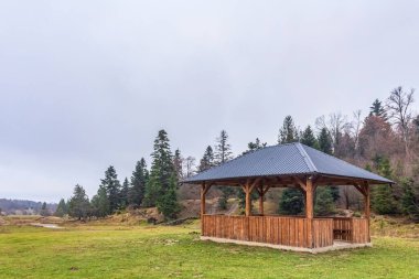 Ahşap evi ve ormanı olan güzel sonbahar manzarası.