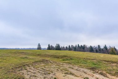 Ormanı ve Letonya 'da bulutlu gökyüzü olan sonbahar manzarası.