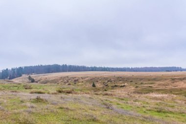 Doğanın güzel manzarası