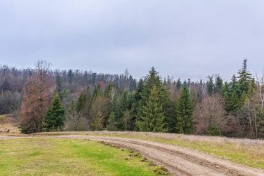 Yolları ve ağaçları olan güzel bir sonbahar manzarası.