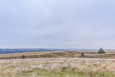 Dağlarda güzel bir sonbahar ormanı manzarası