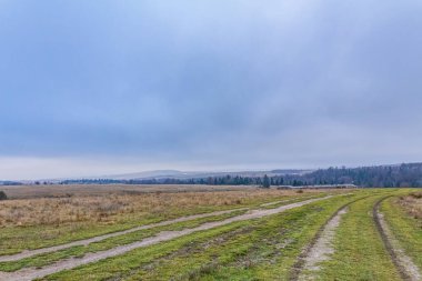 Üzerinde ağaçlar olan bir tarladan geçen toprak yol.
