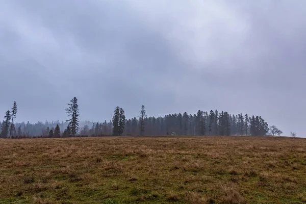 Karpat dağlarında sonbahar