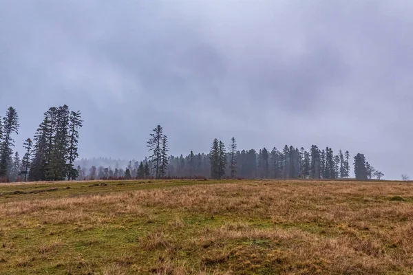 Bir dağ orman ile sonbahar manzara