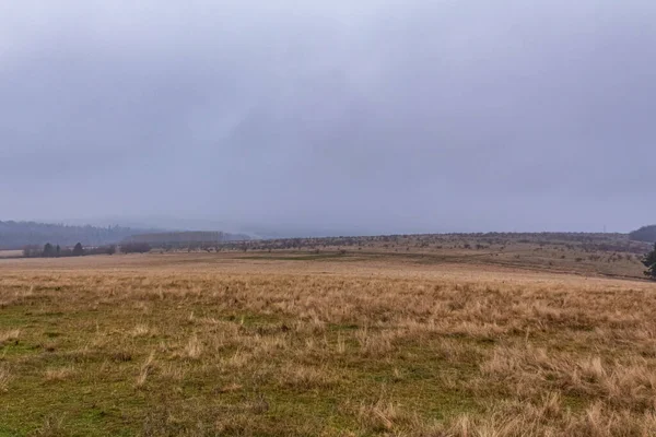 Dağlarda ağaçlar olan güzel bir manzara.