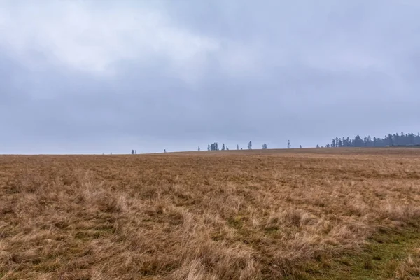 Kışın manzara, Karpat Dağları, Ukrayna